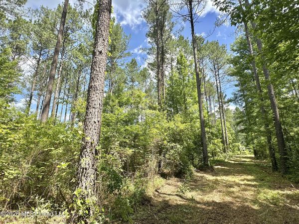 Hwy 43 Highway, Kosciusko, MS 39090