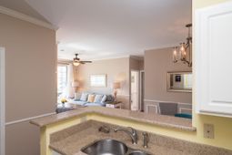 1600 Long Grove Drive photo 4