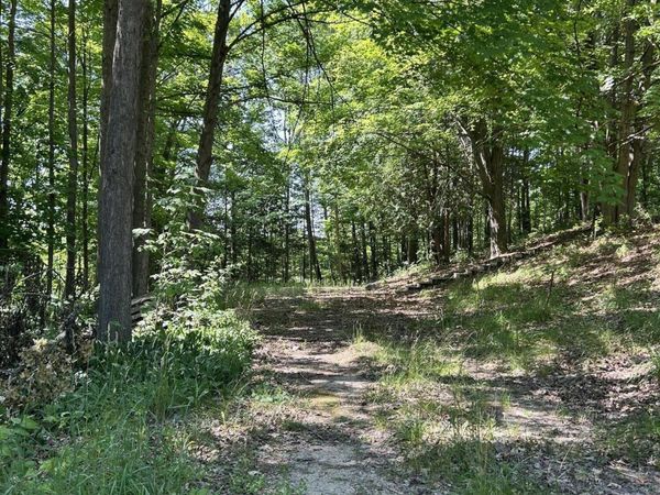 313 W Spruce Street E, Big Rapids, MI 49307