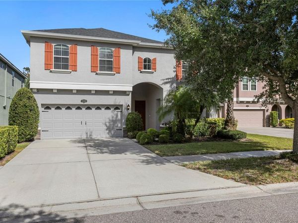 19303 WATER MAPLE DRIVE , TAMPA, FL 33647