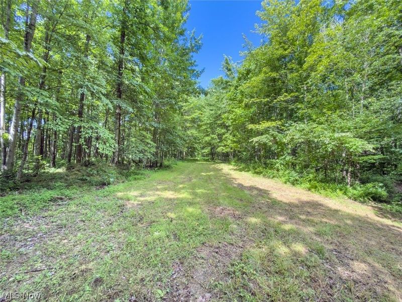 6985 Brush Run Road, Cambridge, OH 43725 Photo 24