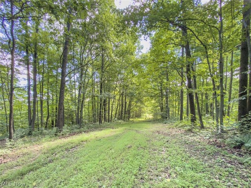 6985 Brush Run Road, Cambridge, OH 43725 Photo 25