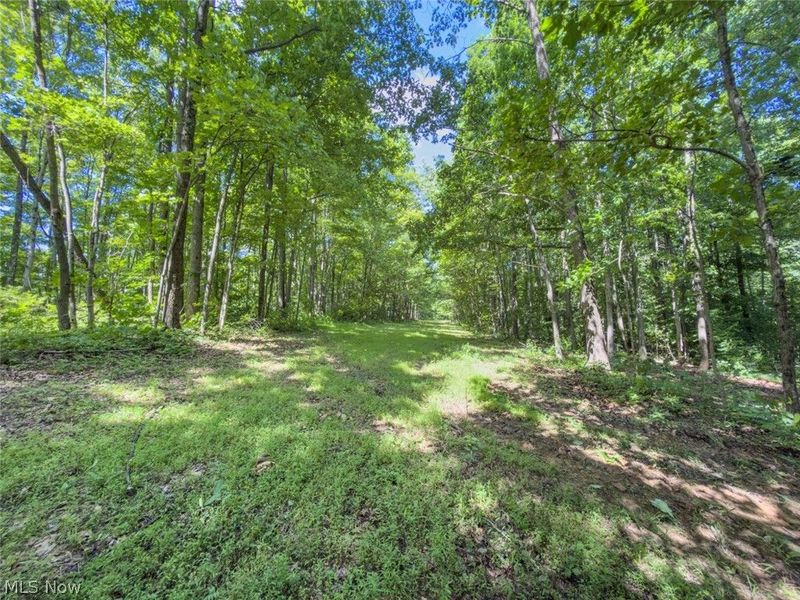 6985 Brush Run Road, Cambridge, OH 43725 Photo 27