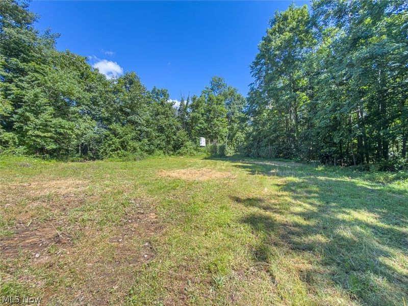 6985 Brush Run Road, Cambridge, OH 43725 Photo 28