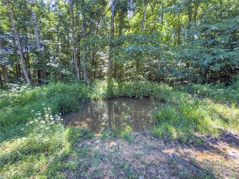 6985 Brush Run Road, Cambridge, OH 43725 Photo 29