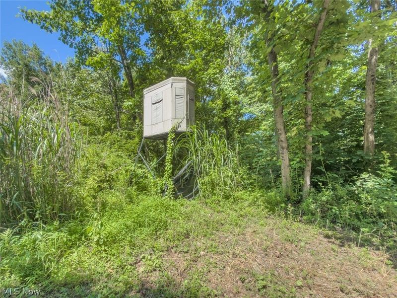 6985 Brush Run Road, Cambridge, OH 43725 Photo 31