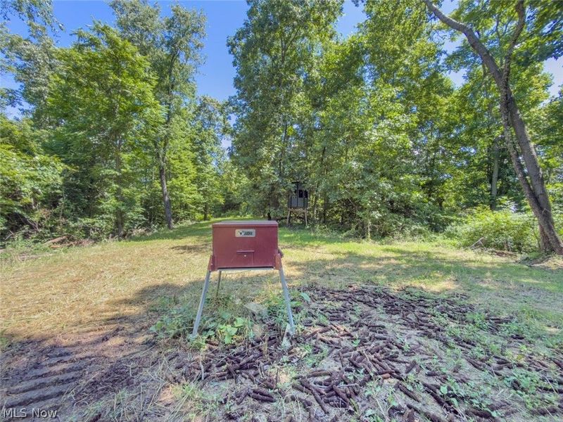 6985 Brush Run Road, Cambridge, OH 43725 Photo 33