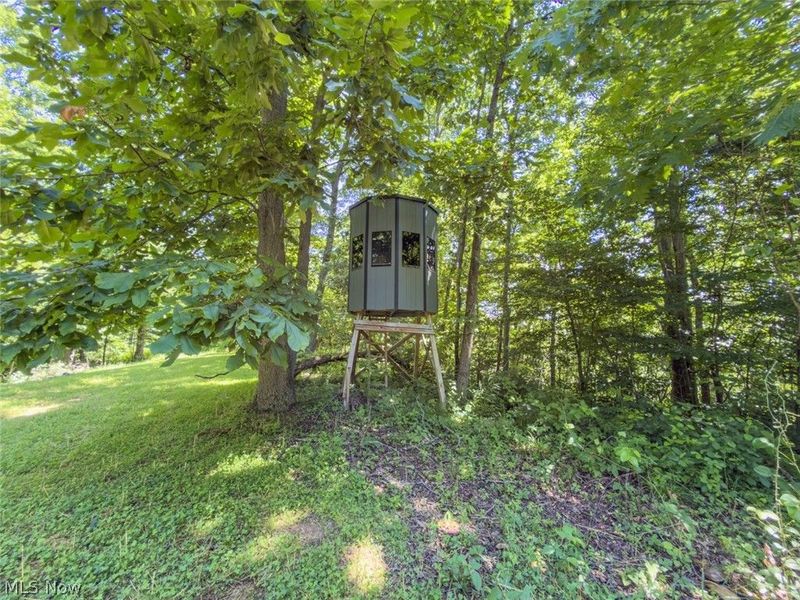 6985 Brush Run Road, Cambridge, OH 43725 Photo 34