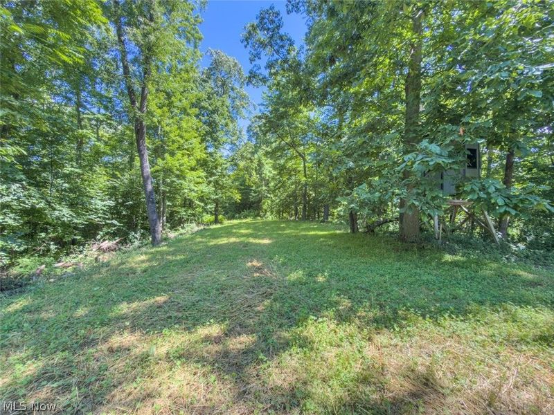 6985 Brush Run Road, Cambridge, OH 43725 Photo 35