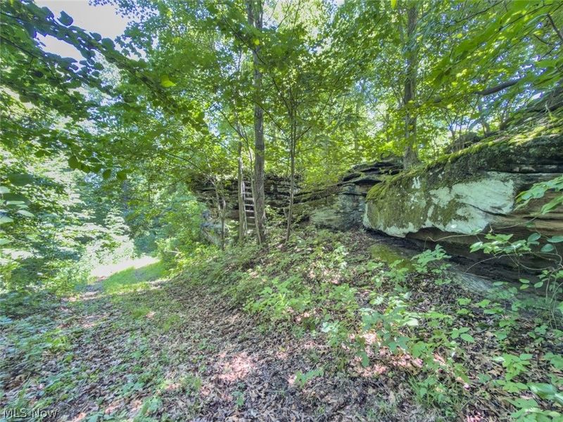 6985 Brush Run Road, Cambridge, OH 43725 Photo 36