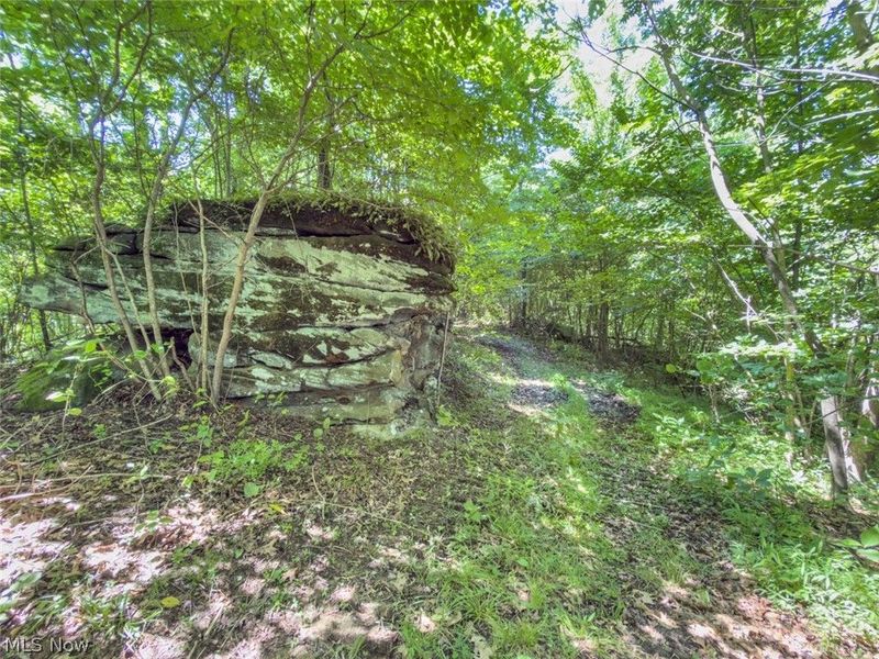 6985 Brush Run Road, Cambridge, OH 43725 Photo 37