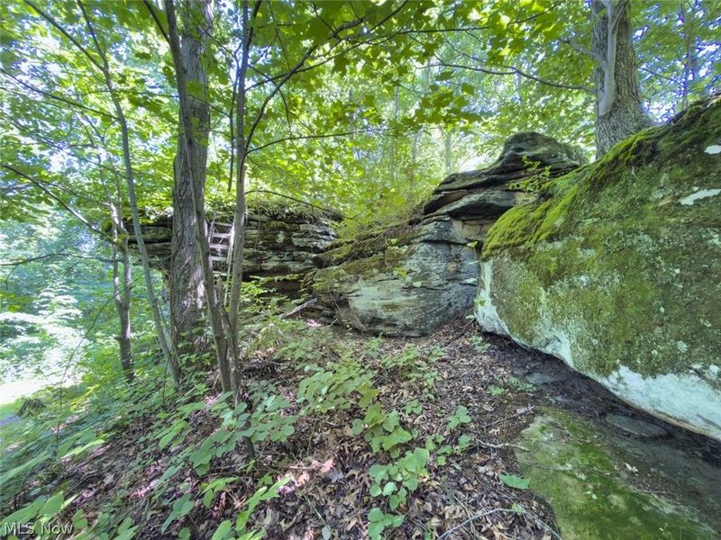 6985 Brush Run Road, Cambridge, OH 43725 Photo 38