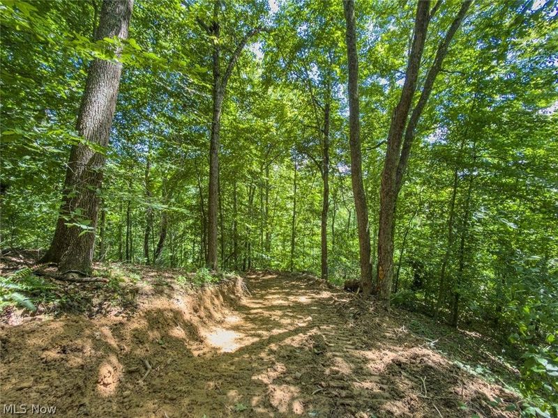 6985 Brush Run Road, Cambridge, OH 43725 Photo 39