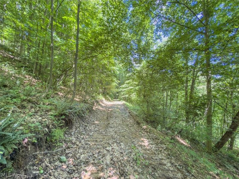 6985 Brush Run Road, Cambridge, OH 43725 Photo 40