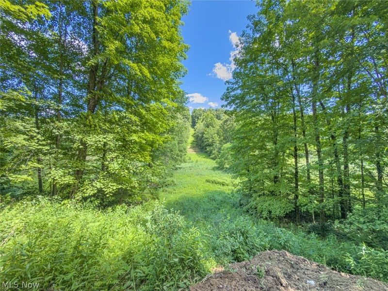 6985 Brush Run Road, Cambridge, OH 43725 Photo 41