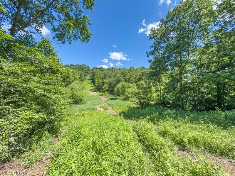 6985 Brush Run Road, Cambridge, OH 43725 Photo 42
