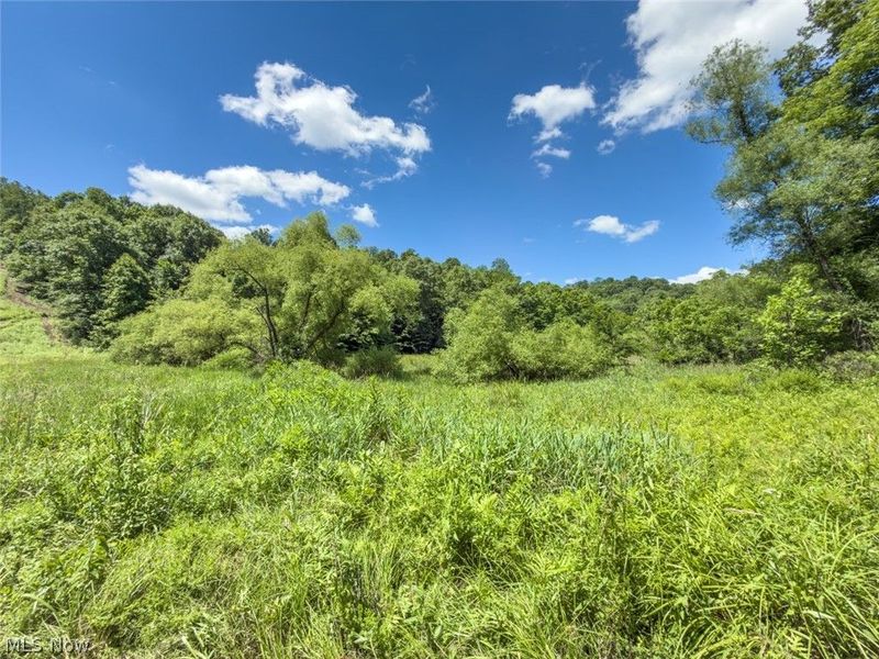 6985 Brush Run Road, Cambridge, OH 43725 Photo 43