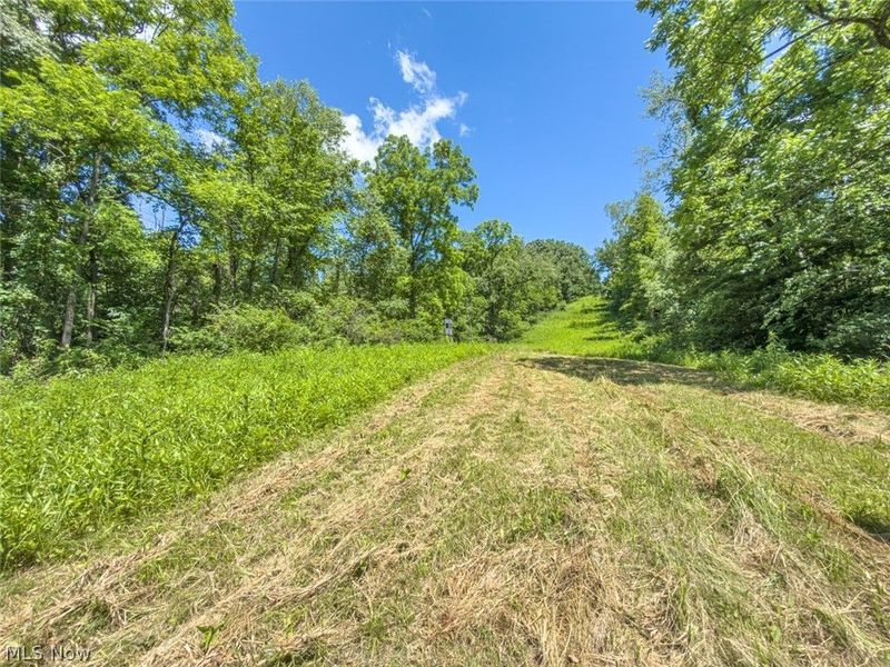 6985 Brush Run Road, Cambridge, OH 43725 Photo 44
