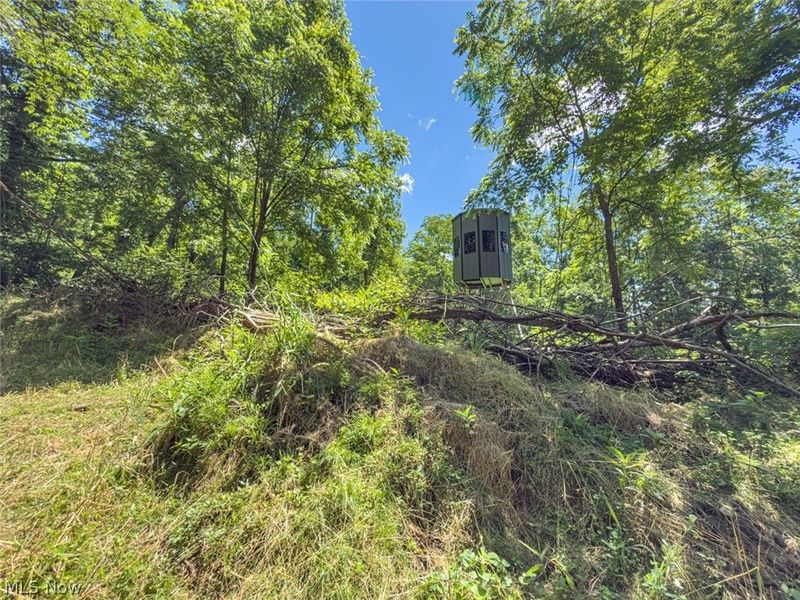 6985 Brush Run Road, Cambridge, OH 43725 Photo 47