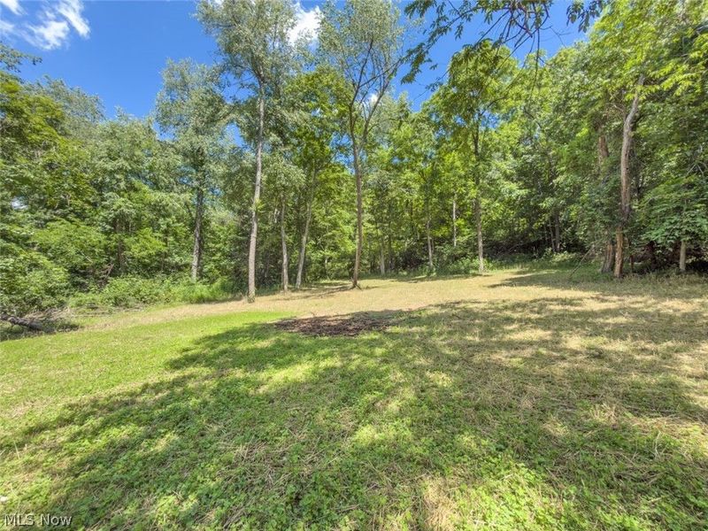 6985 Brush Run Road, Cambridge, OH 43725 Photo 48