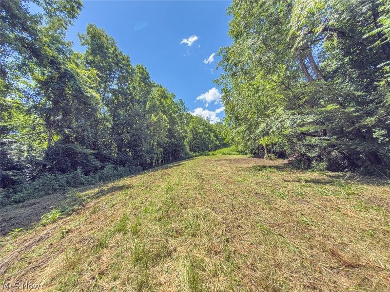 6985 Brush Run Road, Cambridge, OH 43725 Photo 50