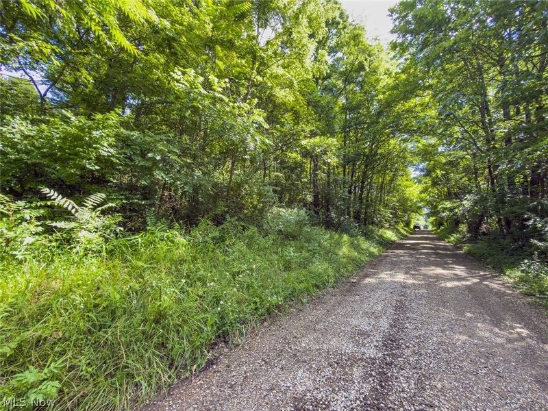 6985 Brush Run Road, Cambridge, OH 43725 Photo 7