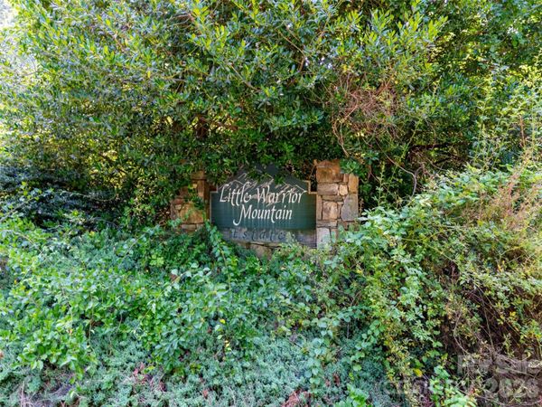 00 Rhododendron Drive , Saluda, NC 28773