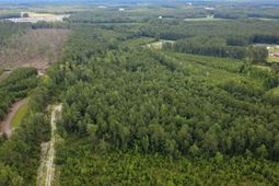 Lot A Fries Bay Rd. photo 4