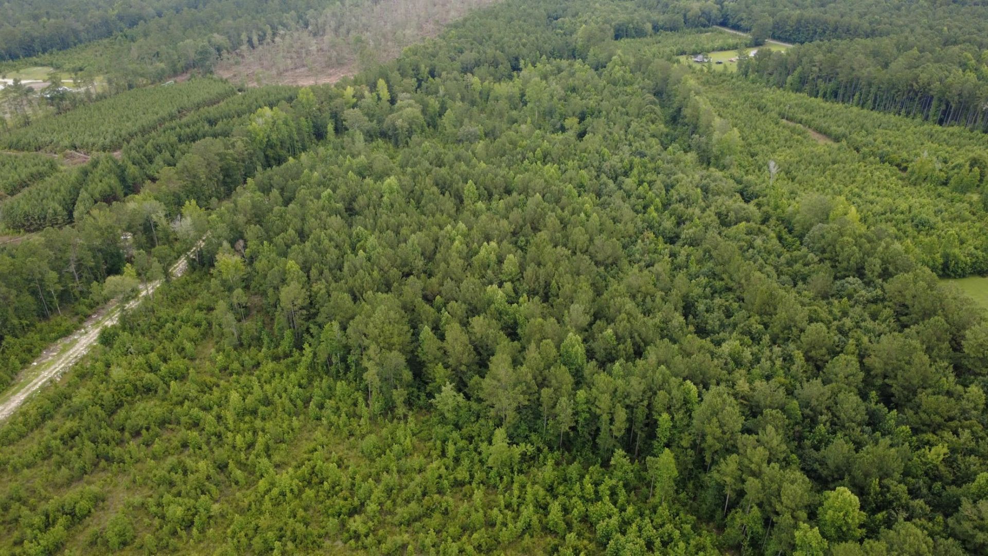 Lot A Fries Bay Rd. Photo 6