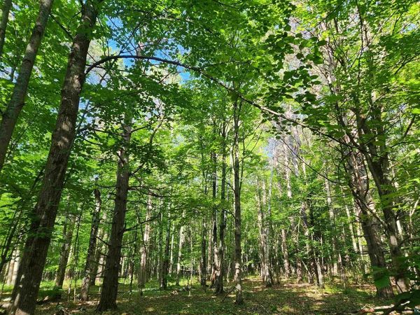 30XXX Sky Rd, Washburn, WI 54891