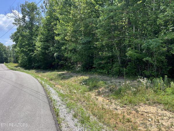 Lot 202 Elzies Way, Grimsley, TN 38565