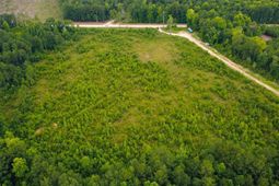 Lot B Fries Bay Rd. photo 4