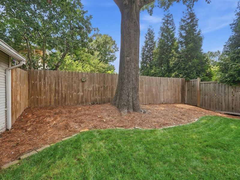 3257 Nash Avenue, Cincinnati, OH 45226 Photo 60