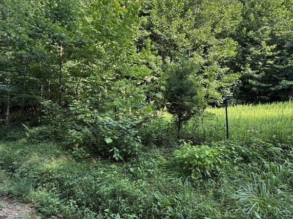 158 Acres Johnson Cemetery Road, Morgantown, KY 42261