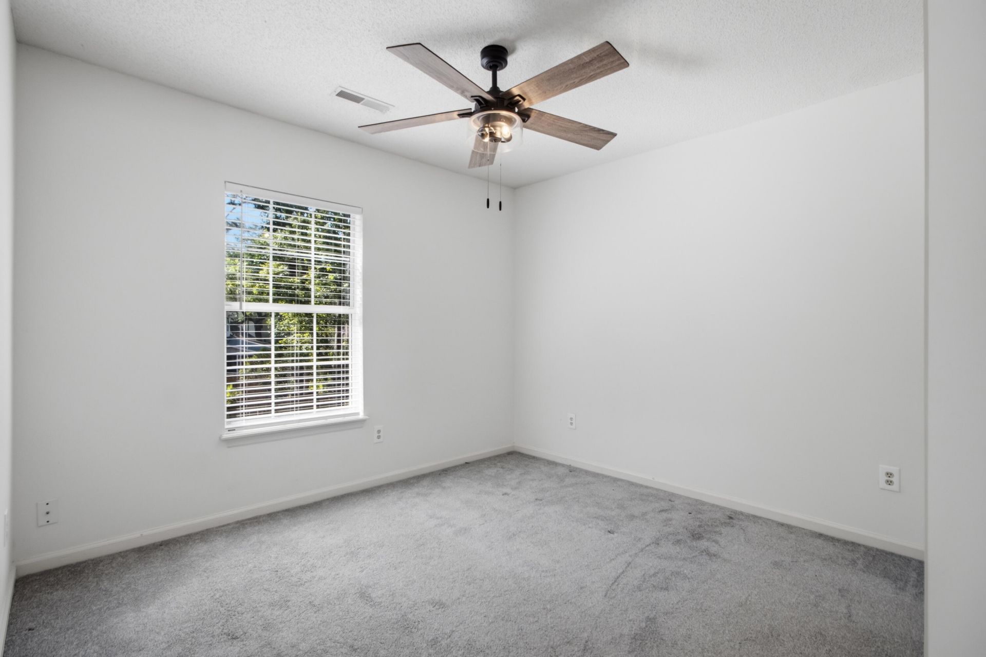 1281 Horseshoe Bend Photo 37