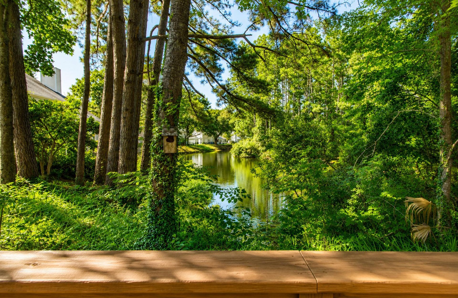 1281 Horseshoe Bend Photo 6