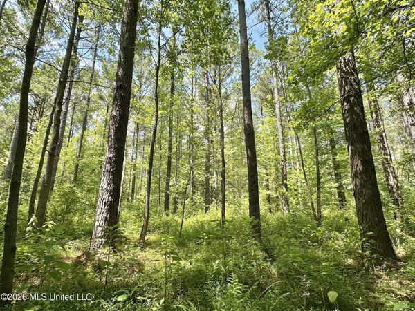 Hwy 43 Highway, Kosciusko, MS 39090