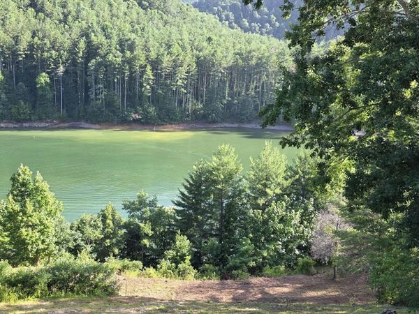 Tbd Lake Hill, Butler, TN 37640
