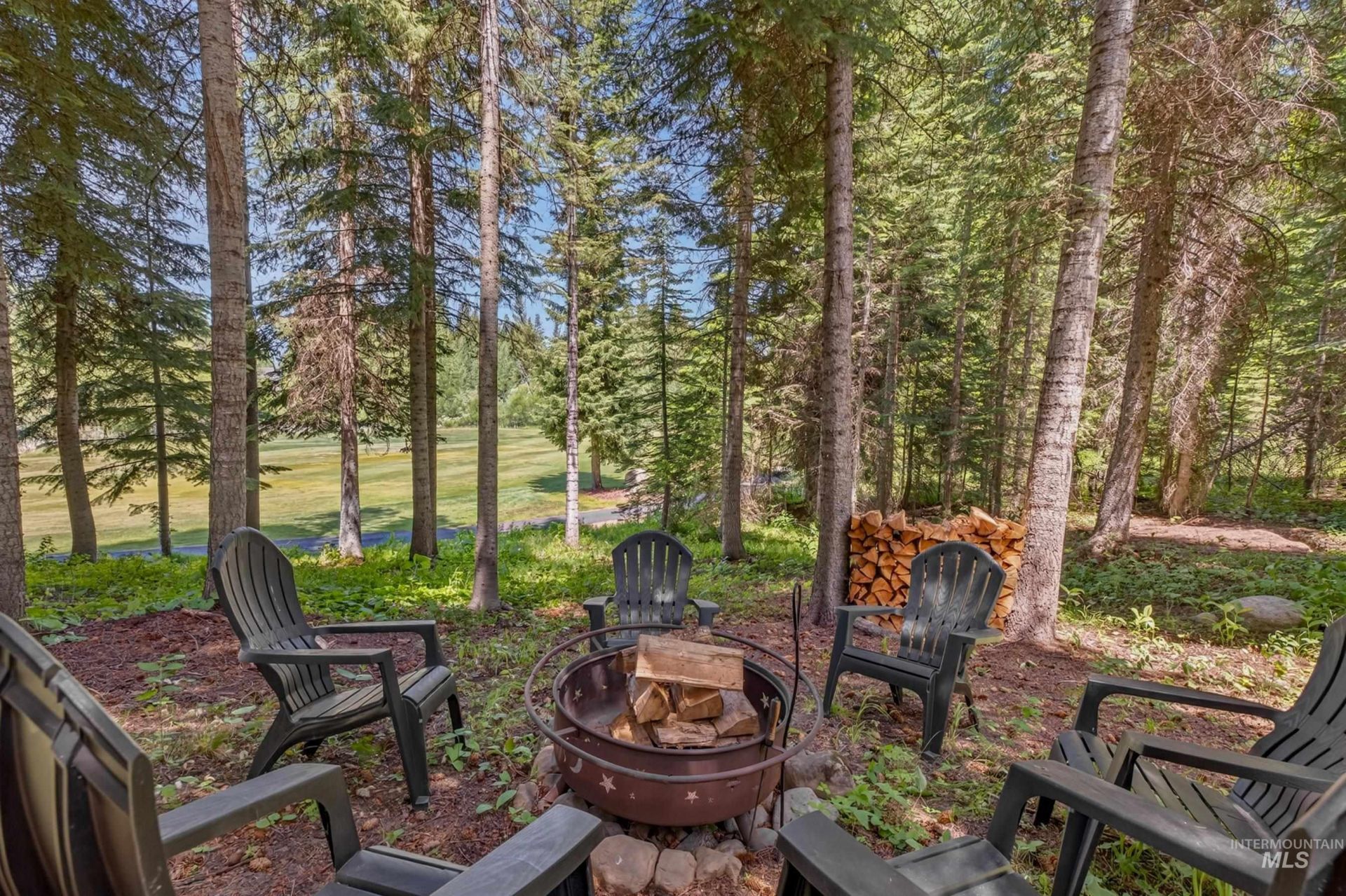 1029 Fireweed Drive, McCall, ID 83638 Main Photo