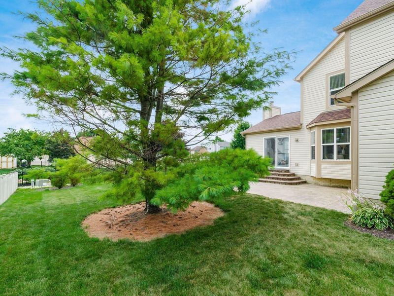 4690 Helmsbridge Court, Grove City, OH 43123 Photo 56