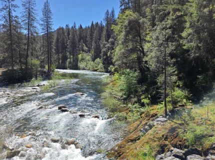 31004 S Relief Hill Road #6, Washington, CA 95986 Photo