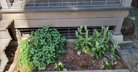 31004 S Relief Hill Road #6, Washington, CA 95986 Photo