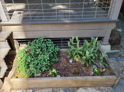31004 S Relief Hill Road #6, Washington, CA 95986 Photo