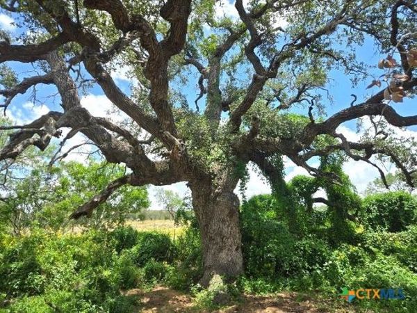 271 PR 1266 , Gillett, TX 78116