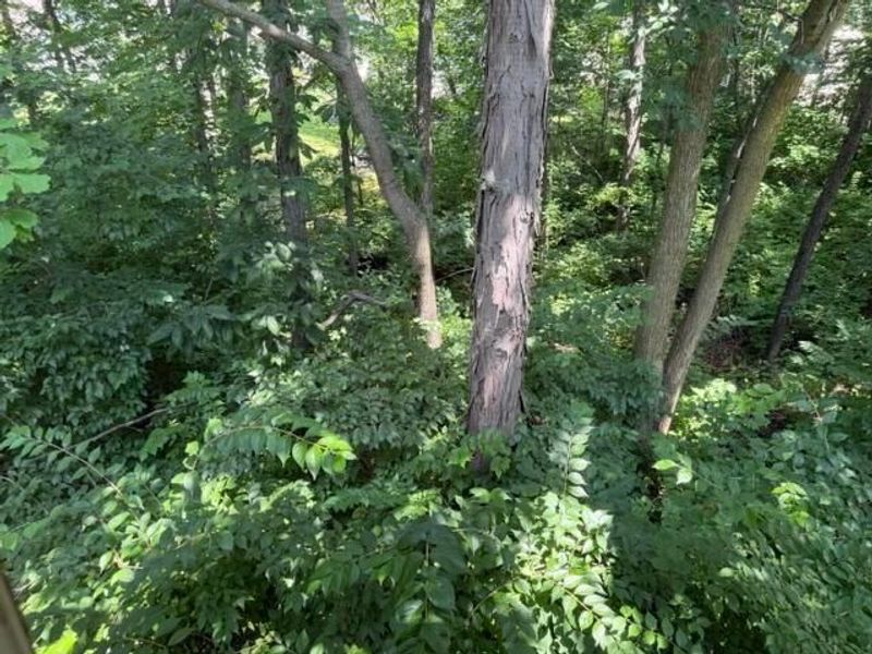 613 Rainbow Drive, Marysville, OH 43040 Photo 7