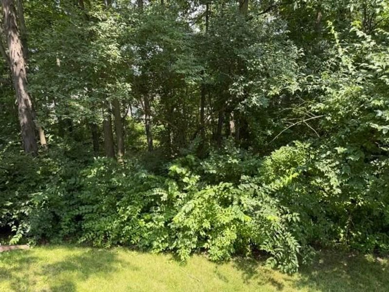 613 Rainbow Drive, Marysville, OH 43040 Photo 8
