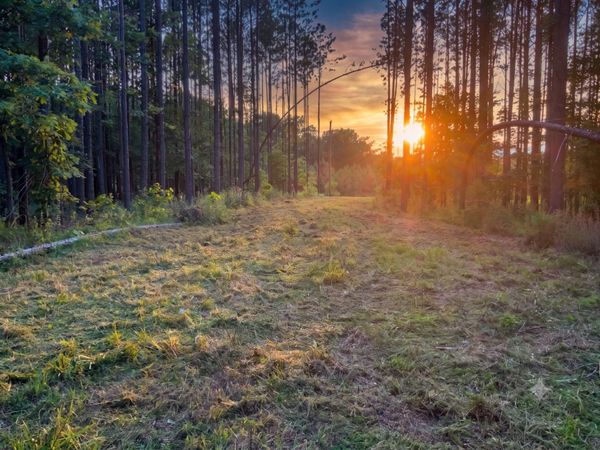0 Adaleighs Way, Unit 2, Big Sandy, TN 38221