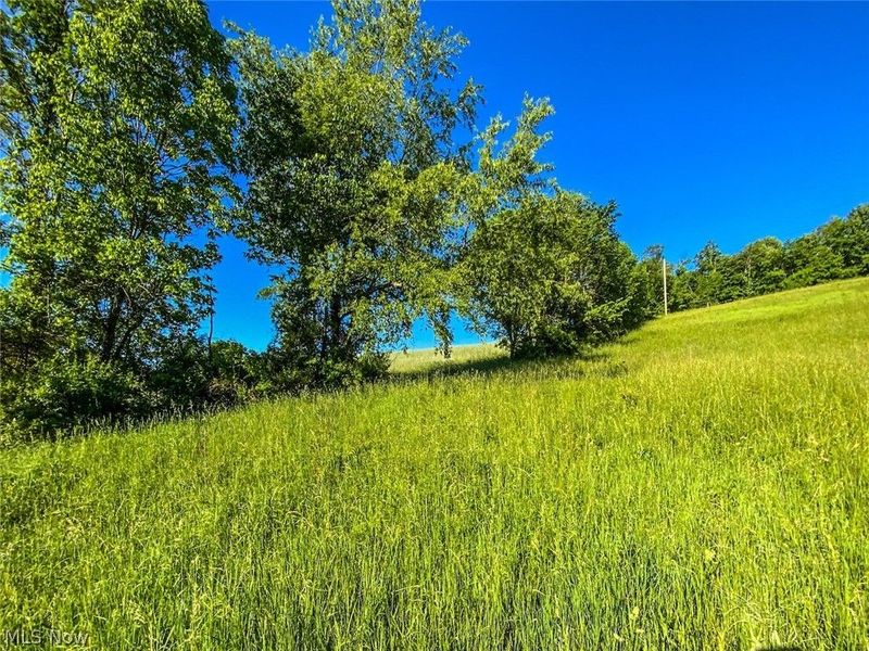 0 Hissem Road, Jewett, OH 43986 Photo 6