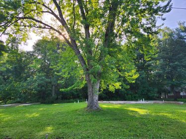 766 West Street, Taylors Falls, MN 55084