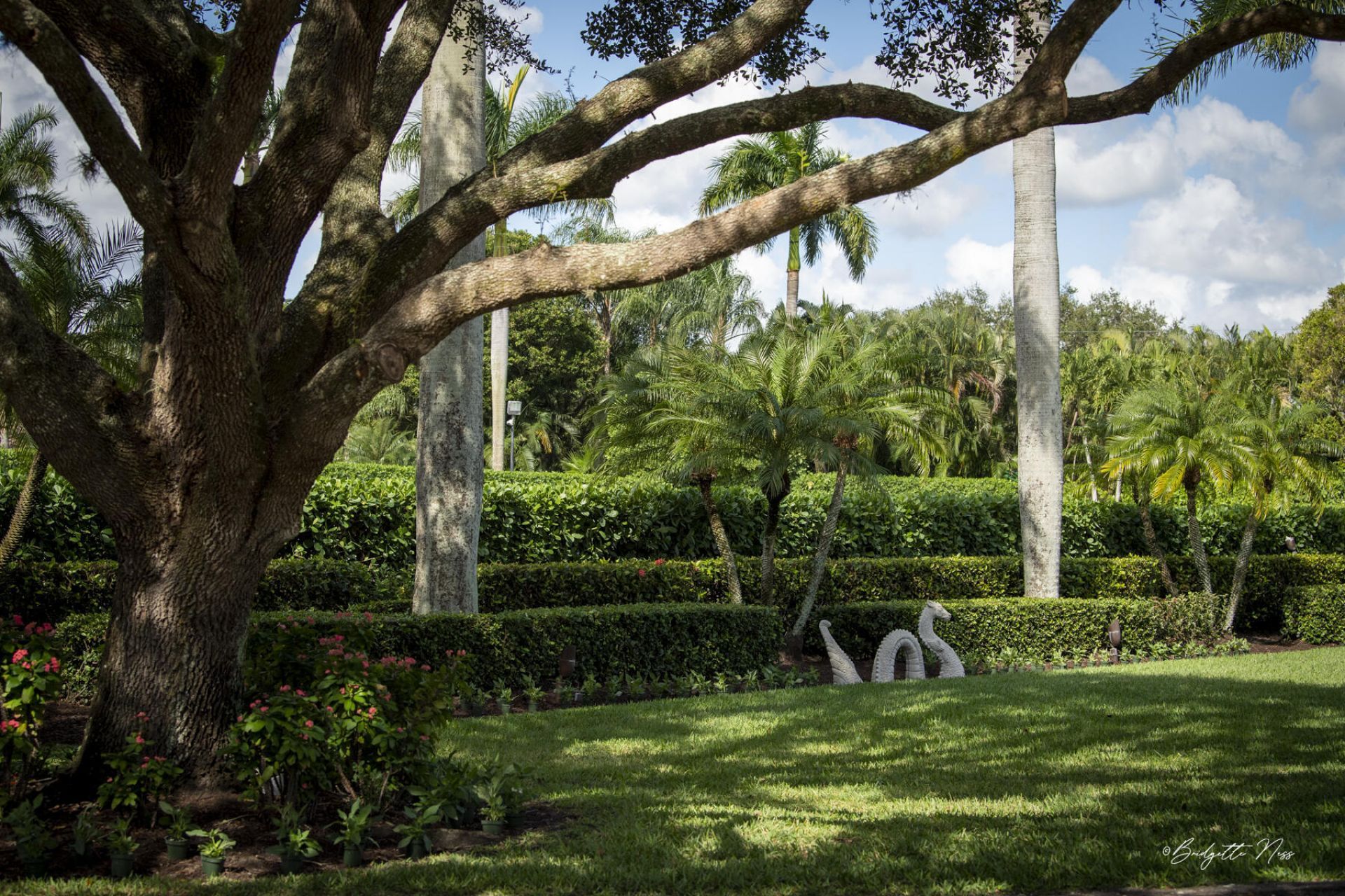 2440 Appaloosa Trail, Wellington, FL 33414 Photo